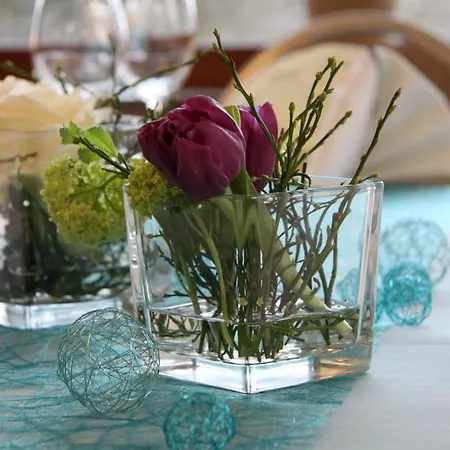 Hotel-restaurant Sonnenhof 3*