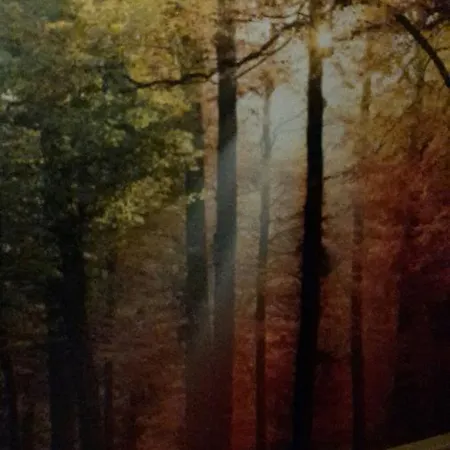 Hotel-restaurant Sonnenhof Szálloda Veitsrodt