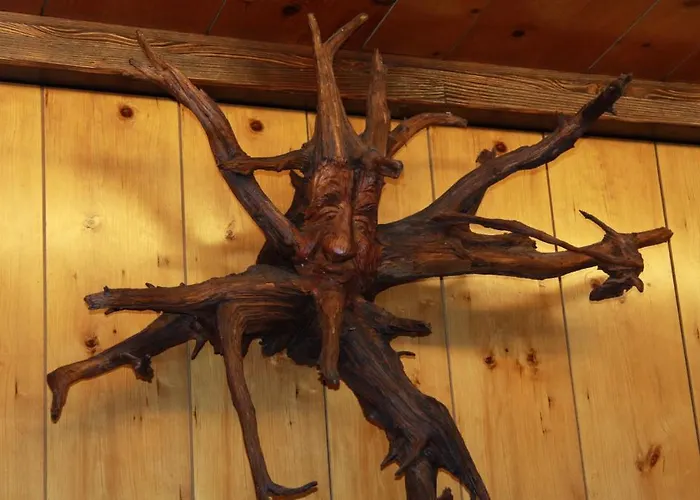 Hotel Hotel-restaurant Sonnenhof