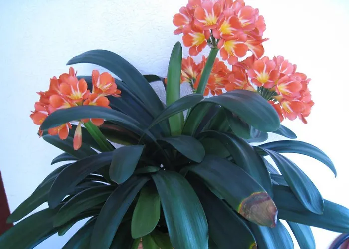 Hotel-restaurant Sonnenhof 3* Veitsrodt