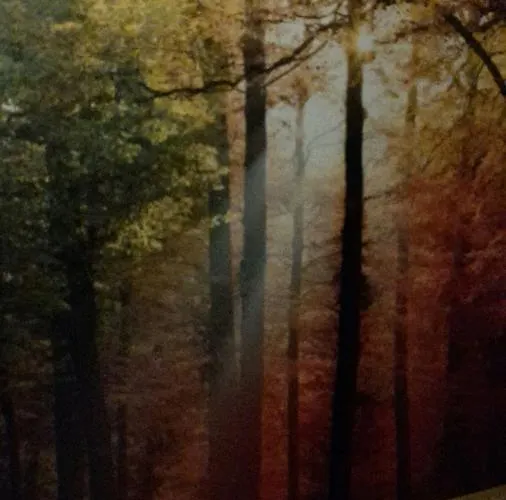 Hotel-restaurant Sonnenhof Hotel Veitsrodt